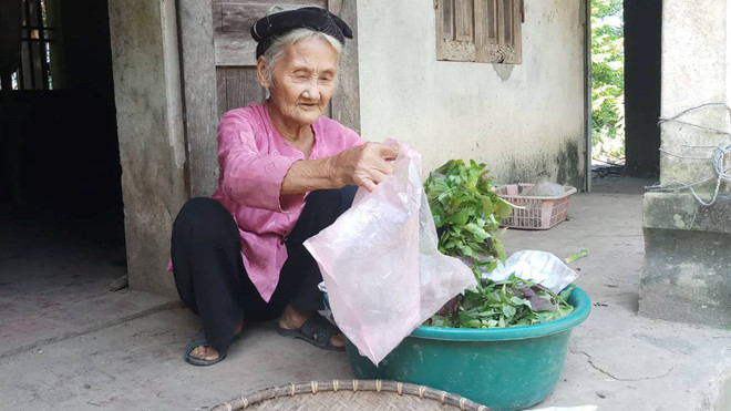Thanh Hóa tặng bằng khen cho cụ bà 83 tuổi xin thoát nghèo - ảnh 1