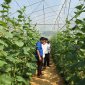 Xây dựng nông thôn mới ở Thanh Hoá: Tạo sự lan tỏa sâu rộng trong nhân dân