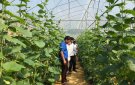 Xây dựng nông thôn mới ở Thanh Hoá: Tạo sự lan tỏa sâu rộng trong nhân dân